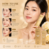 O'Cheal Butterfly Concealer Full Coverage Dark Circle & Blemish Correcting Concealer